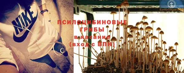 шишки Архангельск