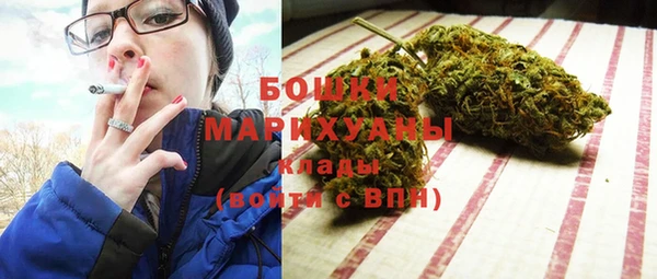 стаф Чита