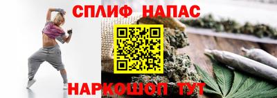 прущие грибы Малгобек