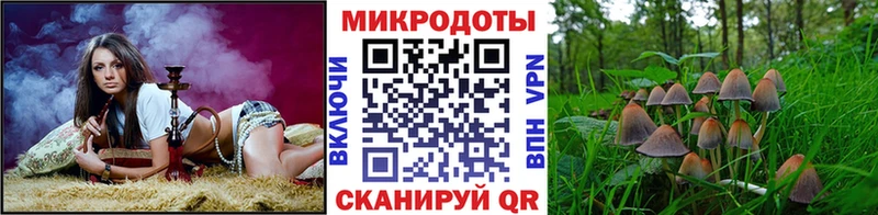 что такое   Георгиевск  Псилоцибиновые грибы мицелий 