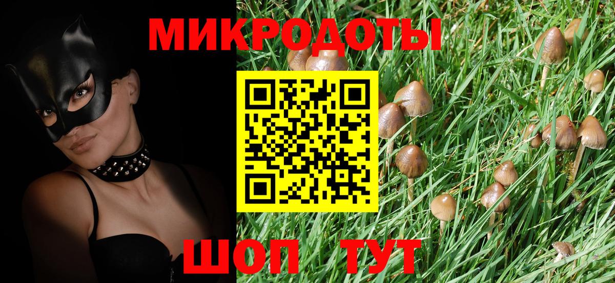 Псилоцибиновые грибы ЛСД Георгиевск