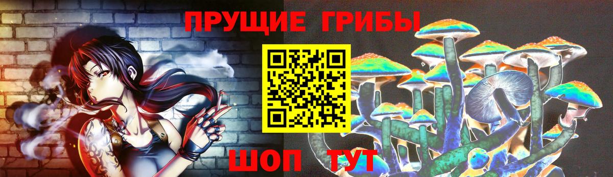 Псилоцибиновые грибы Cubensis Георгиевск